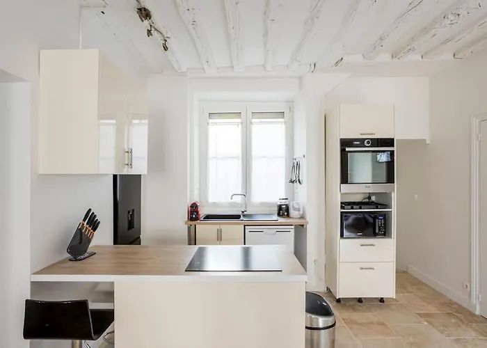 De Charm Distinctif Sejour Elegant Dans Le Marais Branche